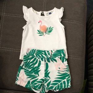 JANIE and JACK shirt and shorts 6-12mo.